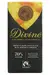Dark Chocolate with Ginger and Orange 90g (Divine)