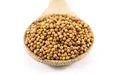 Organic Yellow Mustard Seeds 100g (Sussex Wholefoods)