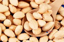 Roasted and Blanched Almonds 12.5kg (Bulk)