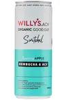 Sparkling Apple Switchel 250ml (Willy's)