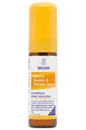 Arnica Bumps & Bruises Skin Spray 20ml (Weleda)