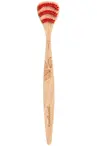 Beechwood Tongue Brush (Georganics)