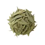 Eucalyptus