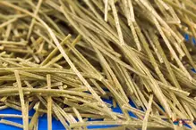 Organic Edamame Spaghetti 200g (Explore Cuisine)