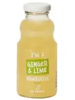 Ginger & Lime Kombucha, Organic 250ml (Love Kombucha)