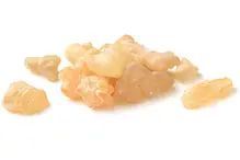 Gum Mastic