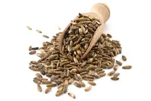 Milk Thistle Seeds