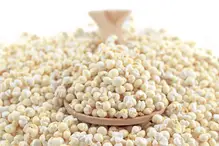 Organic Millet Puffs 8kg (Bulk)
