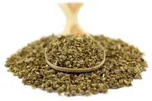 Oregano
