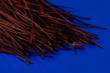 Organic Black Bean Spaghetti 200g (Explore Cuisine)