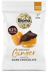 Organic Dark Chocolate Ginger 60g (Biona)