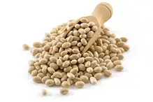 Haricot Beans