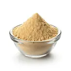 Organic Oyster Mushroom Powder 50g (Sussex Wholefoods)