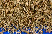 Pennyroyal 50g (Sussex Wholefoods)