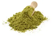 Organic European Pumpkin Seed Protein Powder 20kg (Bulk)