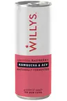 Raspberry Switchel 250ml (Willy's)