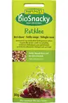 Organic Red Clover Seeds for Sprouting 30g (A.Vogel)