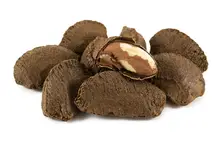 Brazil Nuts in Shell 25kg (Bulk)