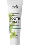 Organic Strong Mint Toothpaste 75ml (Urtekram)