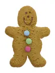 Vegan Gingerbread Man 50g (Lottie Shaw's)