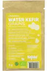 Organic Water Kefir Grains Sachet 5g (Kefirko)