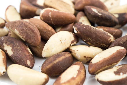 Organic Brazil Nuts(500g) - Sussex Wholefoods