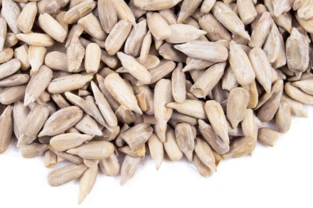 Organic Sunflower Seeds(2kg) - Sussex Wholefoods