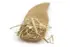 Siberian Ginseng Root Cut 100g (Sussex Wholefoods)