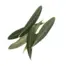Dried Olive Leaves 100g (Sussex Wholefoods)