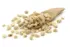 Organic Blanched Peanuts 500g (Sussex Wholefoods)