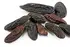 Organic Tonka Beans 50g (Sussex Wholefoods)