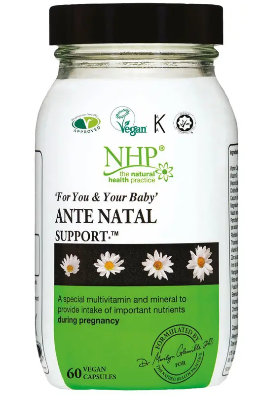 Ante Natal Support 60 Capsules (Natural Health Practice)