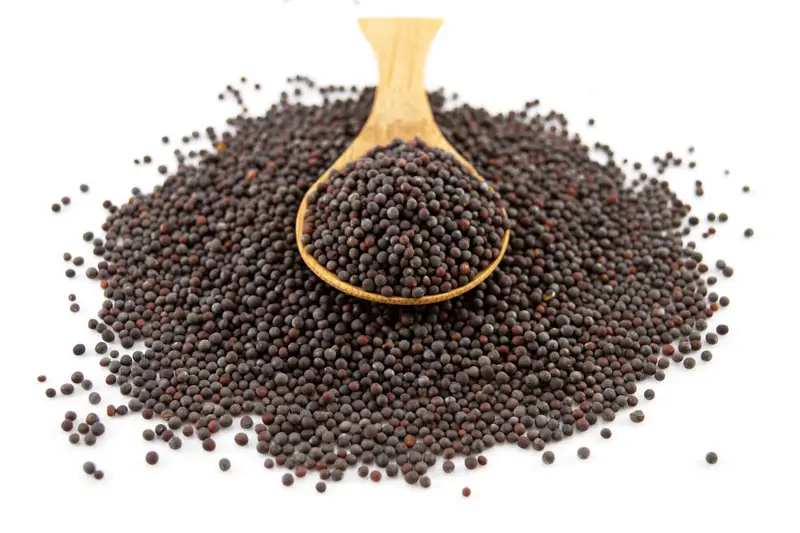 Organic Brown Mustard Seeds 25kg (Bulk)