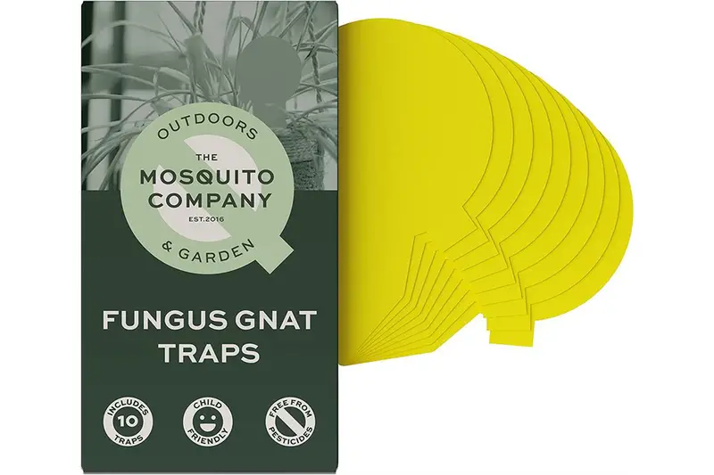 Fungus Gnat Sticky Traps x 10 traps (The Mosquito Company)
