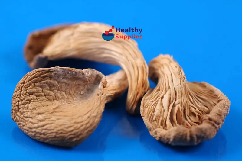 Oyster Mushrooms 25g (Tropical Wholefoods)