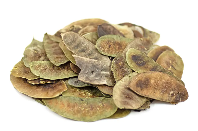 Senna Pods 250g (Sussex Wholefoods)