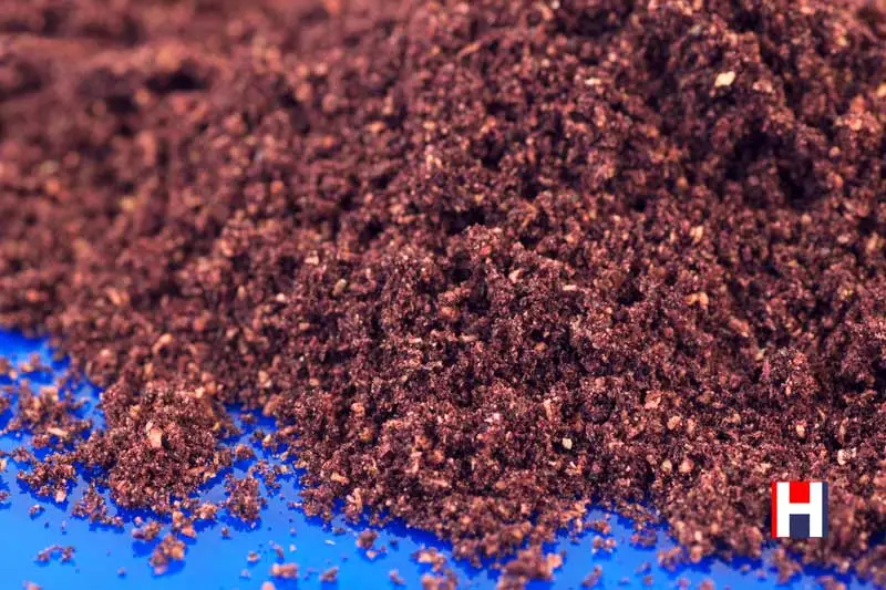 Maqui Berry Powder, Organic 10kg (Bulk)