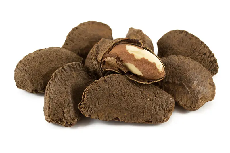 Brazil Nuts in Shell 25kg (Bulk)
