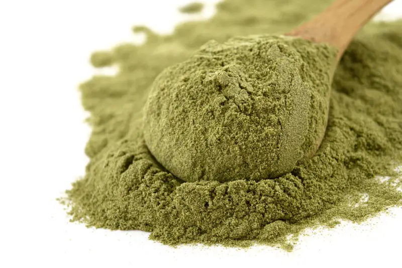 Organic Wheatgrass Powder 25kg (Bulk)