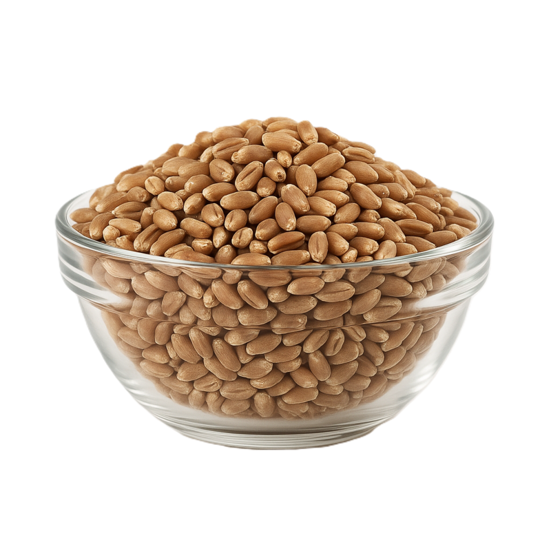 Organic Wheat Grain 25kg (Bulk)