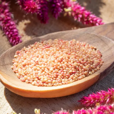 Ten reasons to eat more Amaranth!