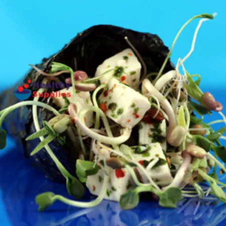 Nori Tofu Wrap with Homegrown Bean Sprouts
