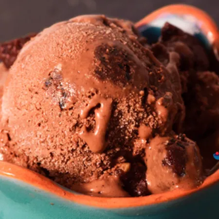 Dairy Free Mocha Fudge Ice Cream