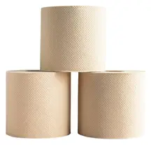 100% Natural Bamboo Toilet Paper 48 Rolls, Unbleached (Bazoo)