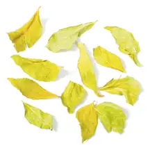 Curry Leaves 10g (Hampshire Foods)
