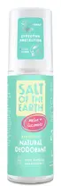 Melon & Cucumber Natural Deodorant Spray 100ml (Salt Of the Earth)