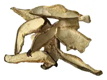 Organic Shiitake Slices 50g (Sussex Wholefoods)