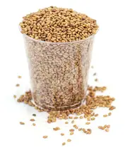Alfalfa Seeds, Organic 250g (Aconbury Sprouts)