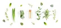 Natural Antiseptics