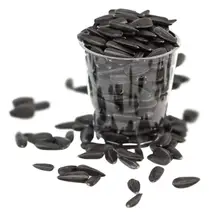 Organic Black Sunflower Seeds 2kg (Aconbury Sprouts)